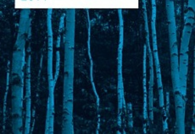 Private Equity Espa&ntilde;a - Anual 2014